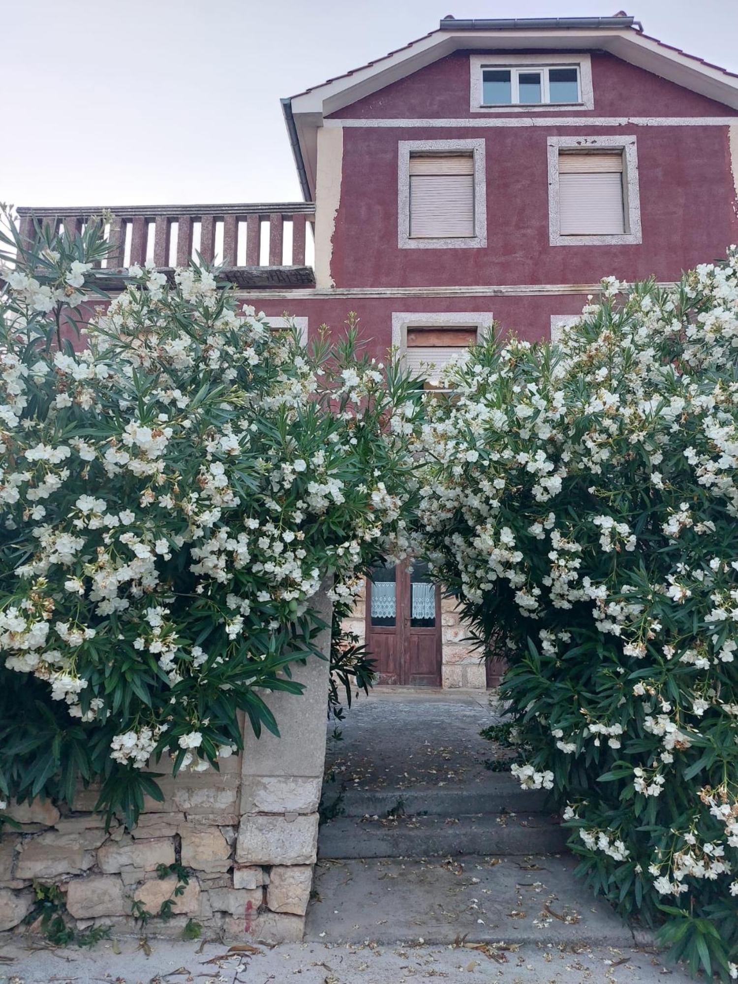 Apartment Bozava - Nena 外观 照片